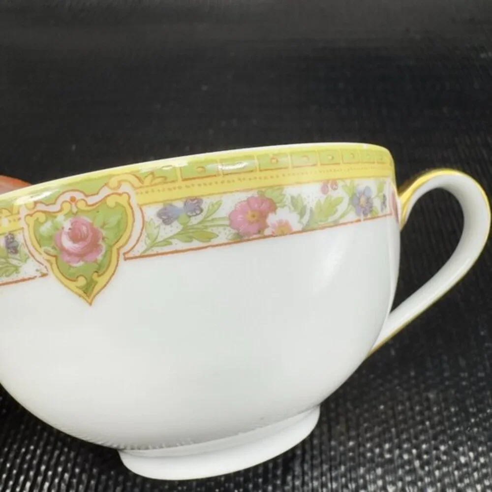 Theodore Haviland Limoges‎ France Fine Porcelain Teacup Saucer Set Green Floral